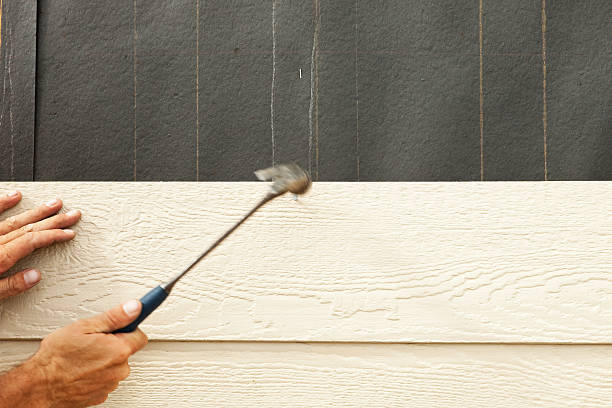 Best Insulated Siding Installation  in USA